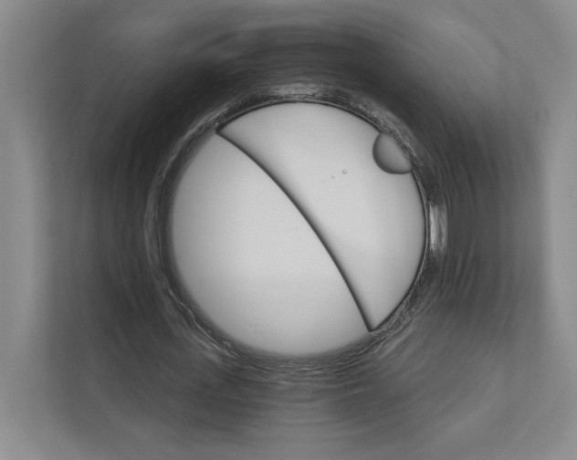 X0000111930723200908171236