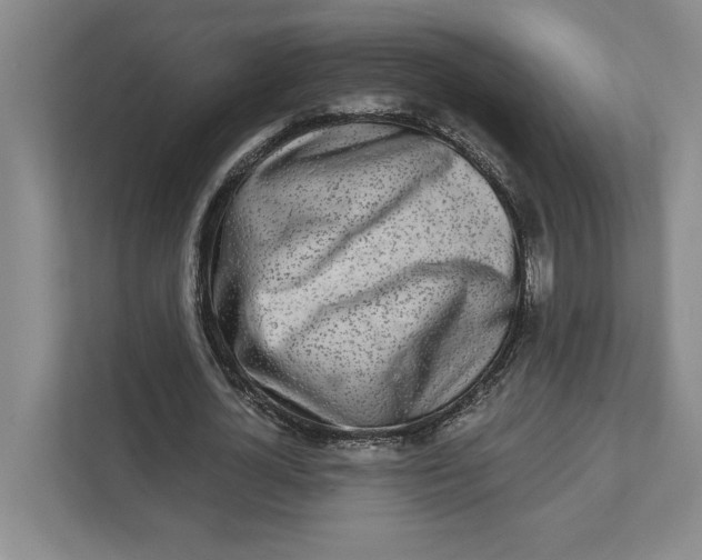 X0000111930724200908171236