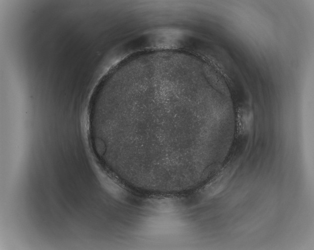 X0000111930726200908171236