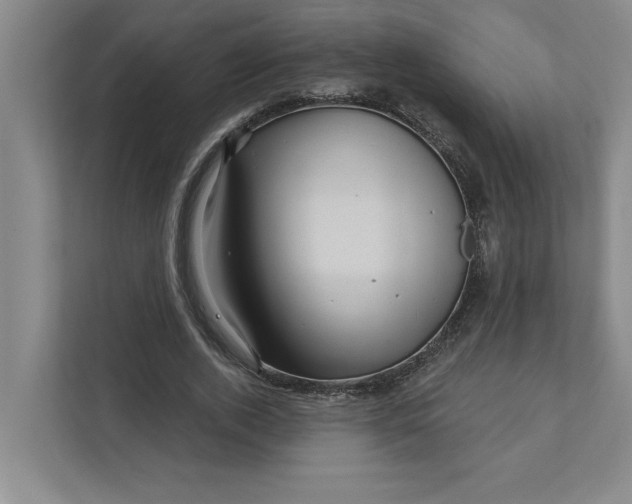 X0000111930728200908171236