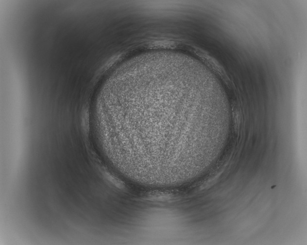 X0000111930729200908171236