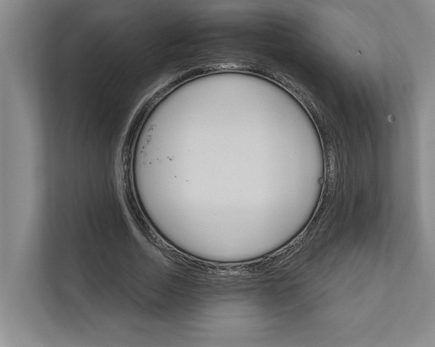 X0000111930730200908171236