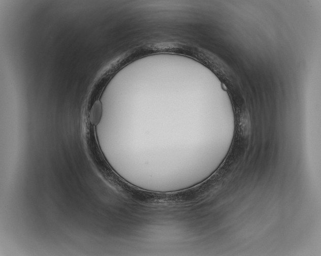 X0000111930732200908171236