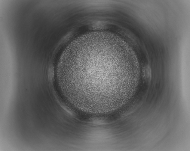 X0000111930733200908171236