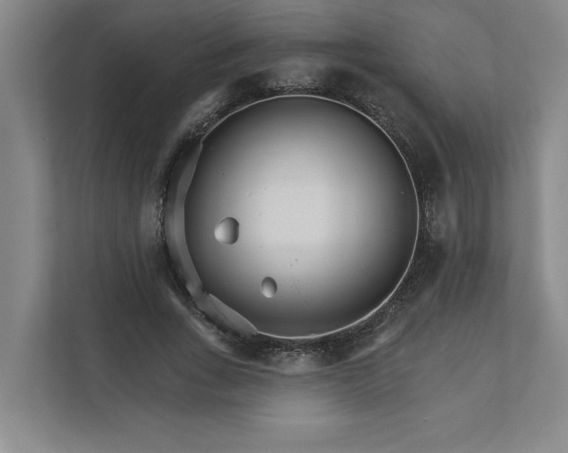 X0000111930735200908171236