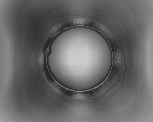 X0000111930738200908171236