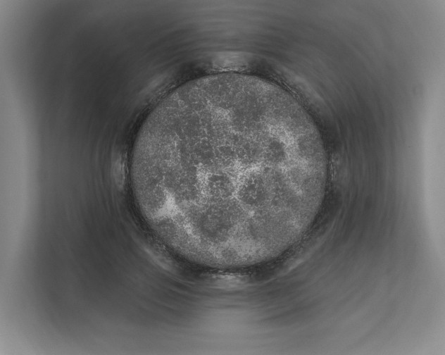 X0000111930741200908171236