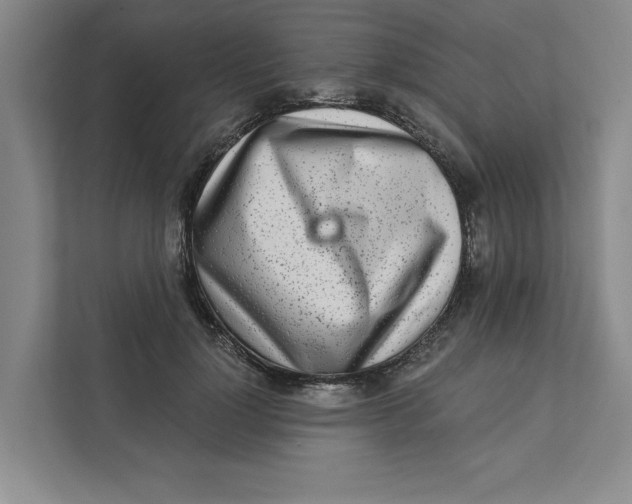 X0000111930748200908171236