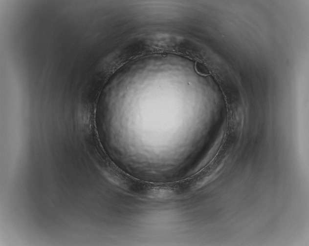 X0000111930749200908171236