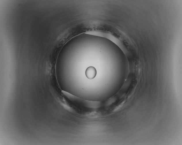 X0000111930750200908171236