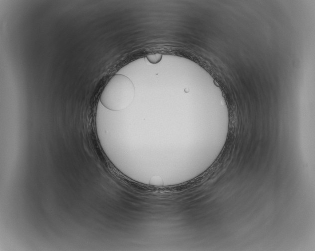 X0000111930751200908171236