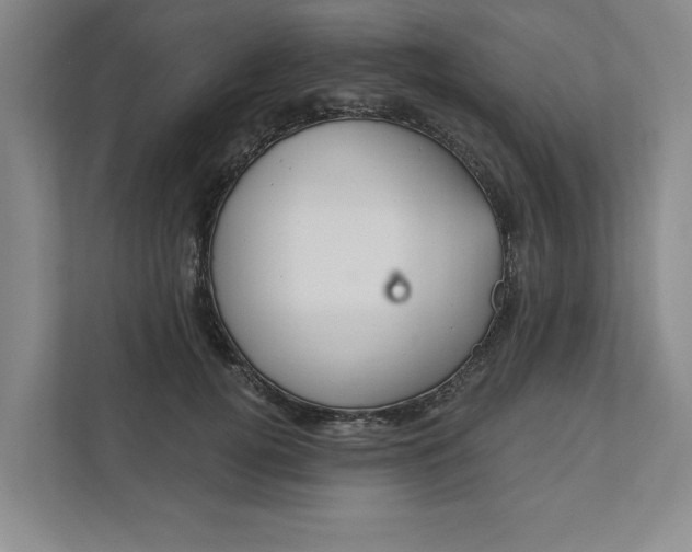 X0000111930752200908171236