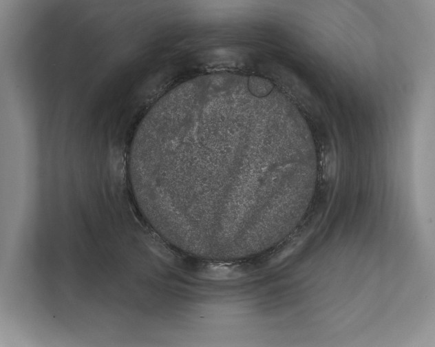 X0000111930753200908171236