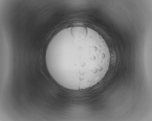 X0000111930755200908171236