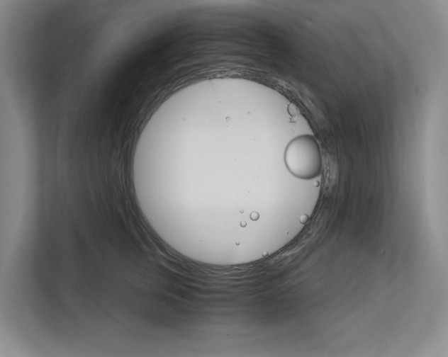 X0000111930759200908171236