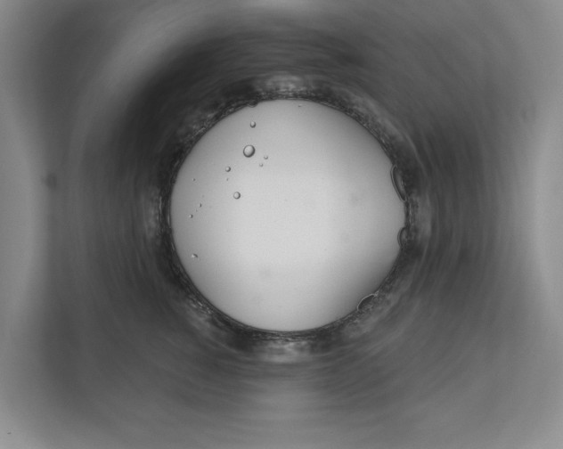 X0000111930760200908171236