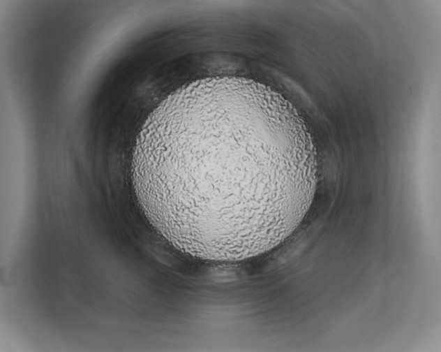 X0000111930761200908171236