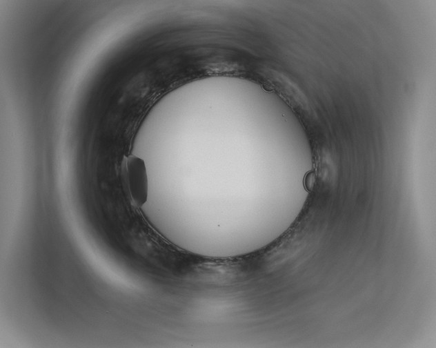 X0000111930763200908171236