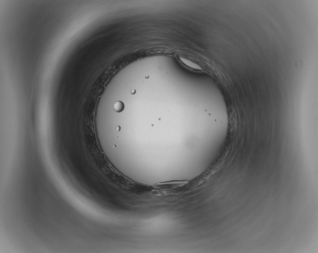 X0000111930764200908171236