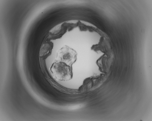 X0000111930765200908171236