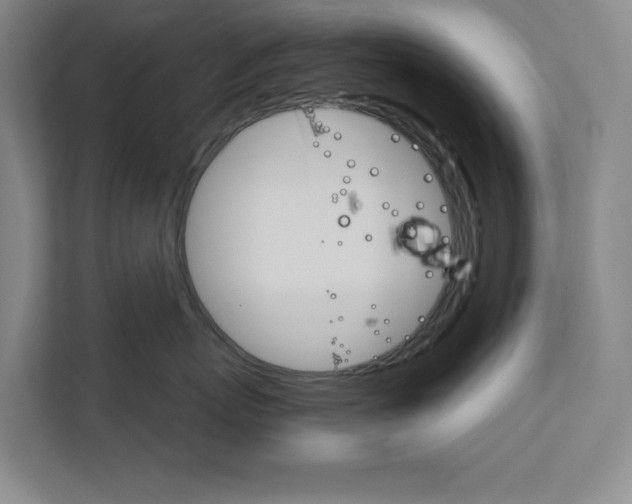 X0000111930767200908171236