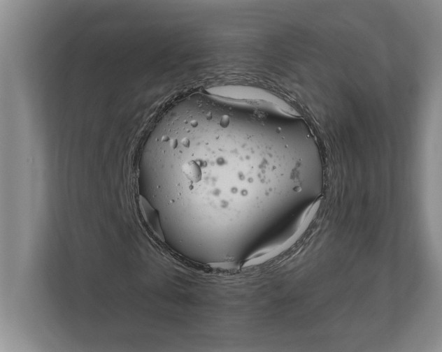 X0000111930769200908171236