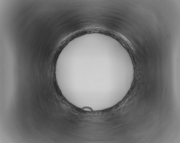 X0000111930775200908171236