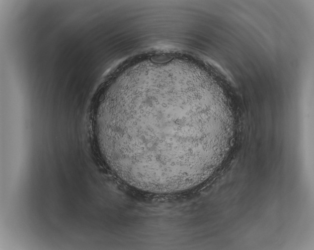 X0000111930776200908171236