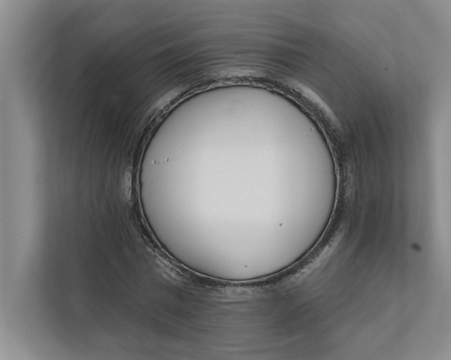 X0000111930777200908171236