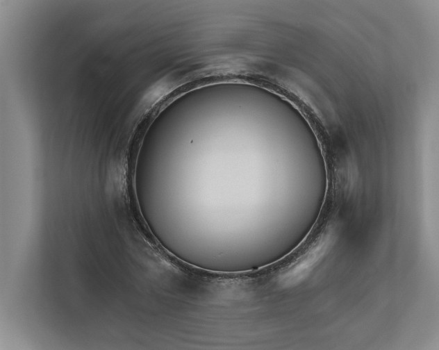 X0000111930778200908171236