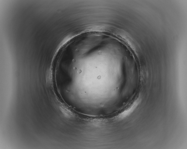 X0000111930779200908171236