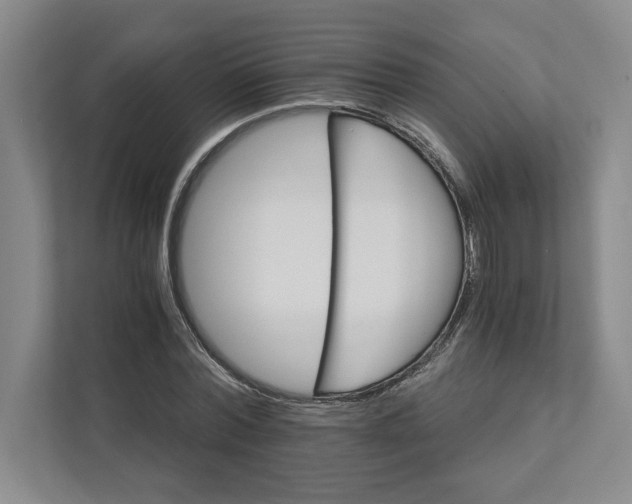 X0000111930780200908171236