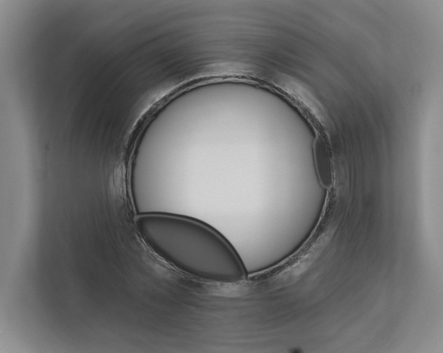 X0000111930781200908171236