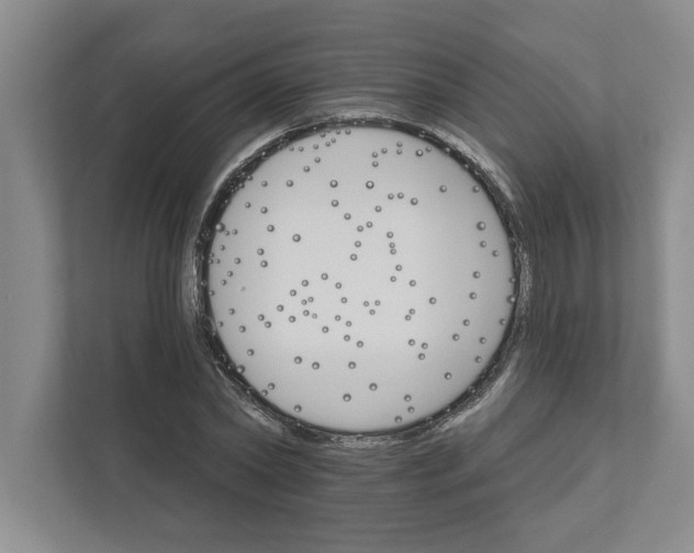 X0000111930782200908171236