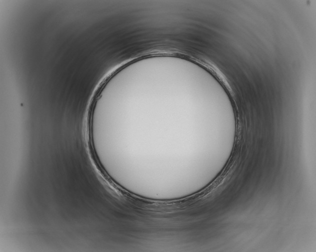 X0000111930795200908171235