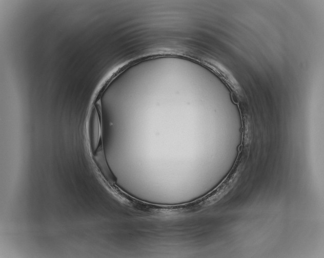 X0000111930796200908171235