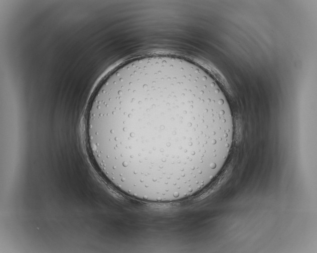 X0000111930798200908171235