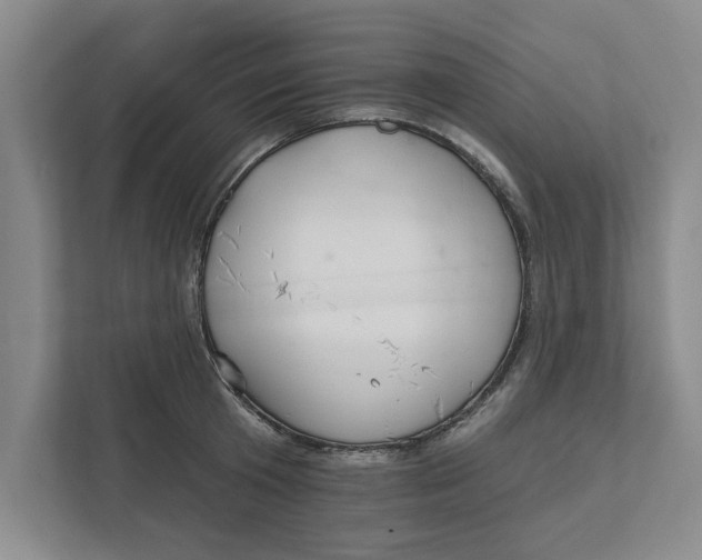 X0000111930801200908171235