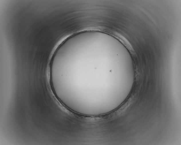 X0000111930804200908171235