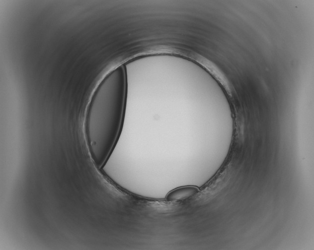 X0000111930805200908171235