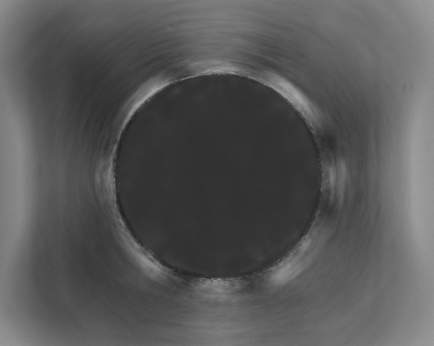 X0000111930806200908171235