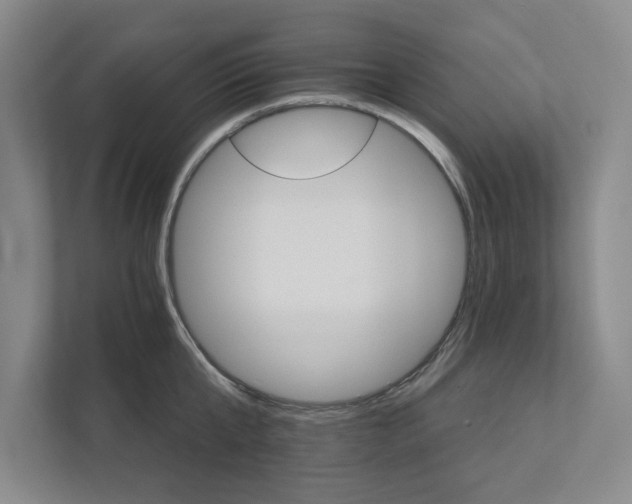 X0000111930807200908171235