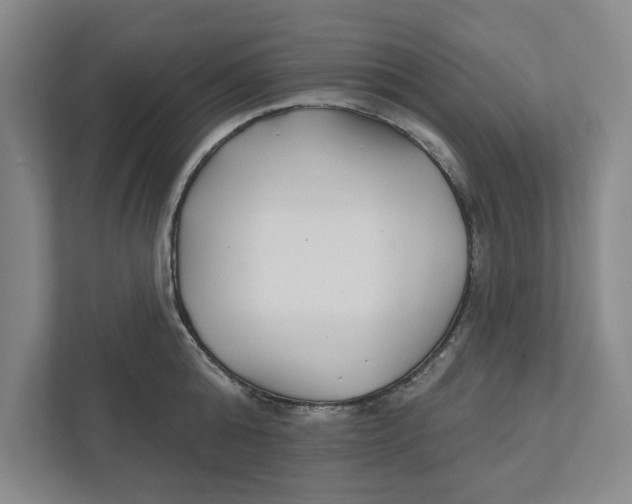 X0000111930808200908171235