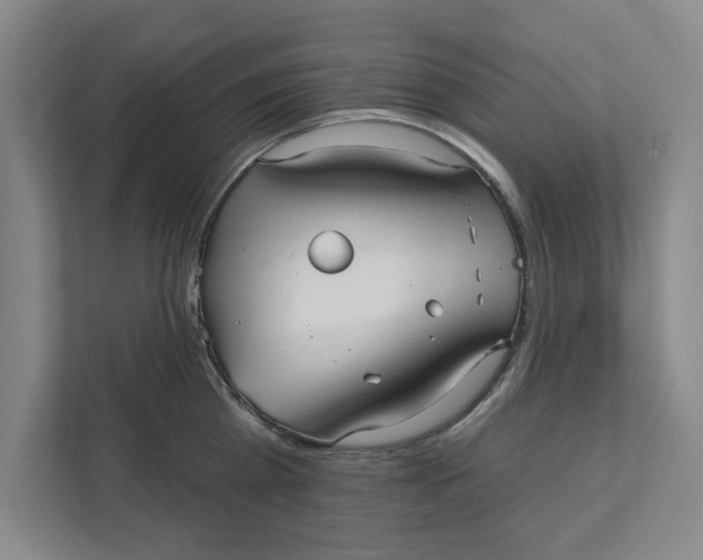 X0000111930809200908171235