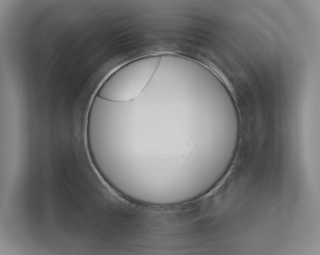 X0000111930810200908171235