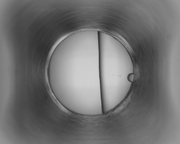 X0000111930812200908171235