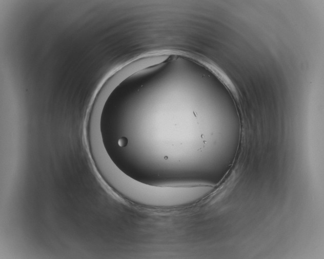 X0000111930813200908171235