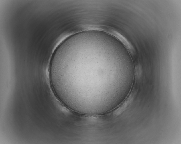 X0000111930814200908171235