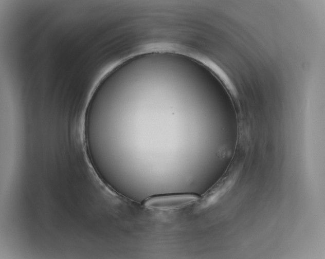 X0000111930815200908171235