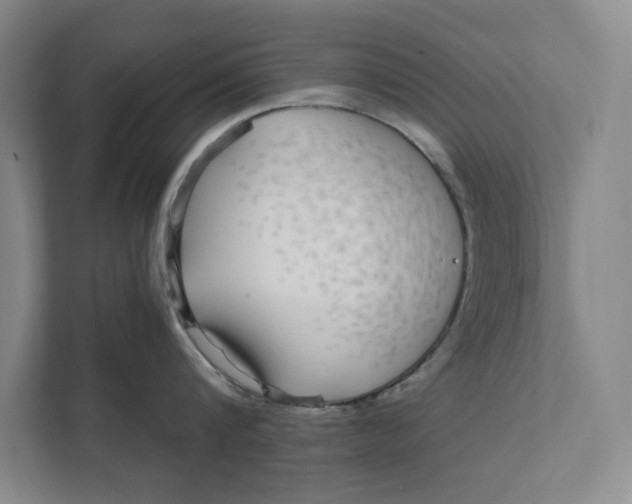 X0000111930816200908171235